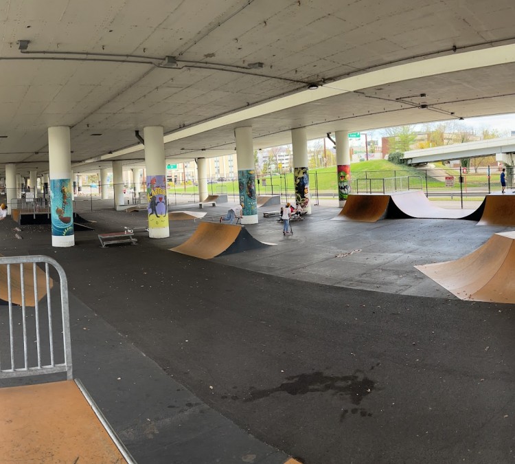 skatepark-of-charleston-photo